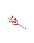 GRY & SIF Branch With Red Berries