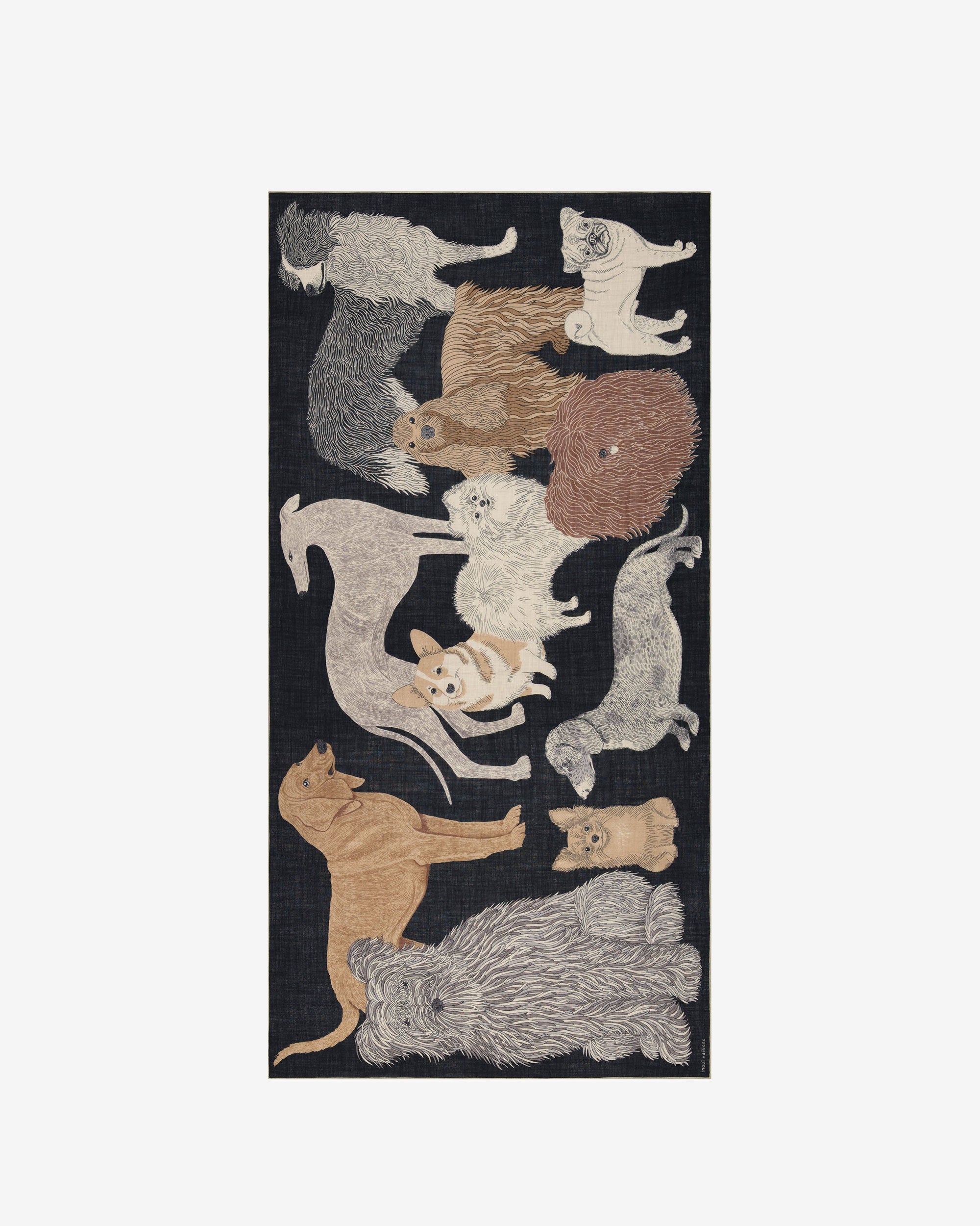 Inoui Editions Etole 100 Toutou Black/Noir Scarf