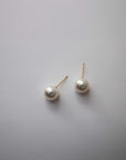 NEUF Akoya Pearl Earrings