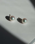 NEUF Akoya Pearl Earrings