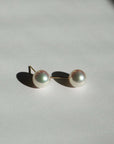 NEUF Akoya Pearl Earrings